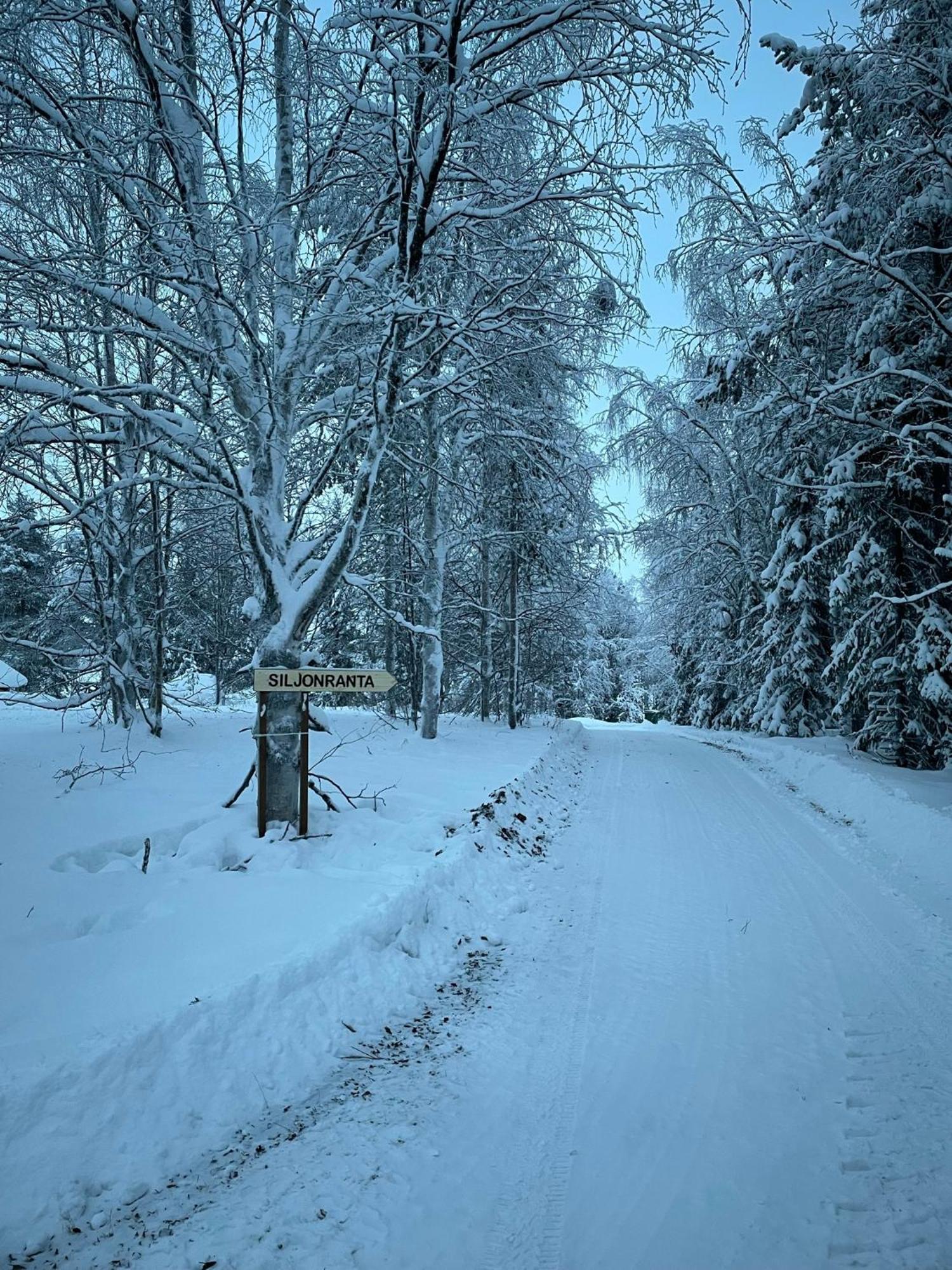 Siljonranta Chalet *